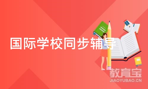 上海国际学校同步辅导