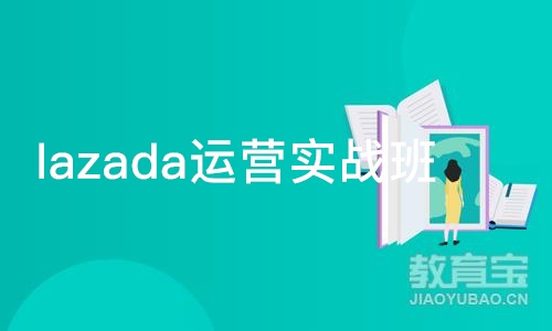 广州lazada运营实战班