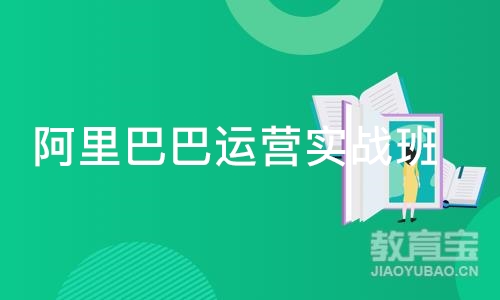 广州阿里巴巴运营实战班