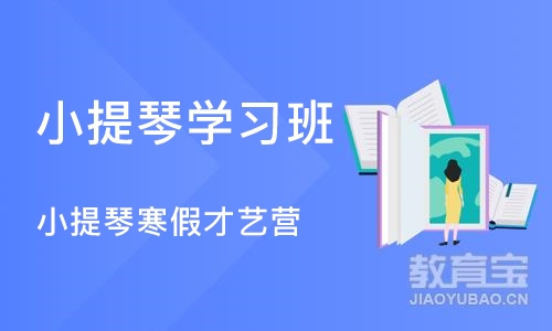 沈阳小提琴学习班