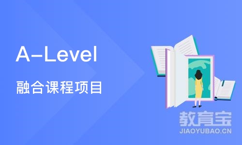 北京A-Level 融合课程项目