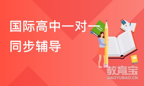 深圳国际高中一对一同步辅导