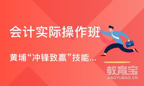 成都会计实际操作班