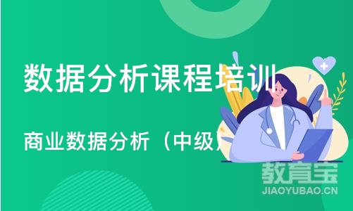 北京商业数据分析（中级）