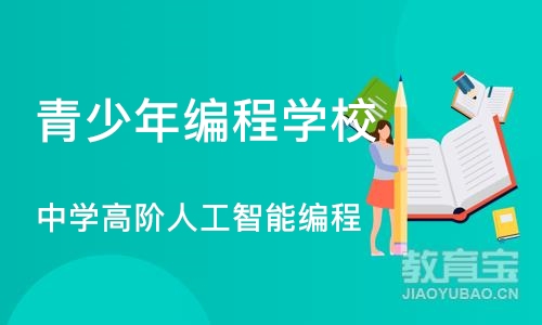 深圳童程童美·中学高阶人工智能编程