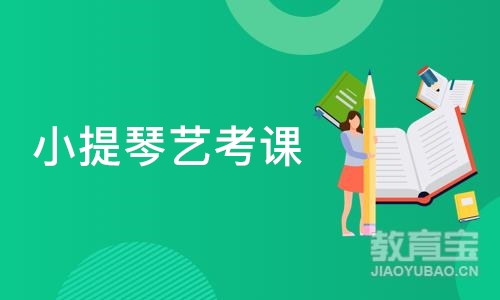 深圳小提琴艺考课