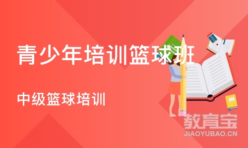 北京青少年培训篮球班