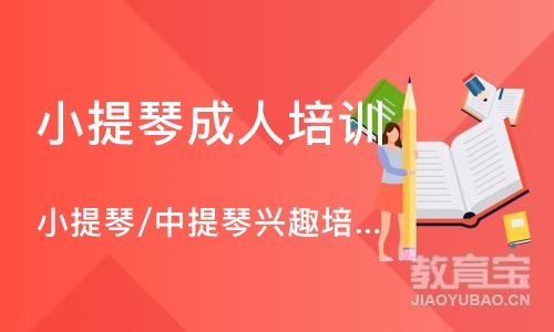 深圳小提琴成人培训