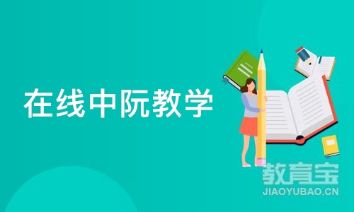 北京在线中阮教学