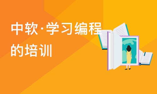 大连中软·学习编程的培训班