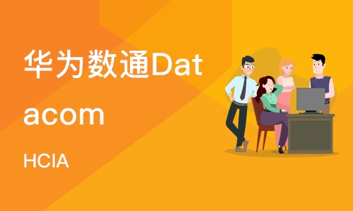 成都华为数通Datacom HCIA