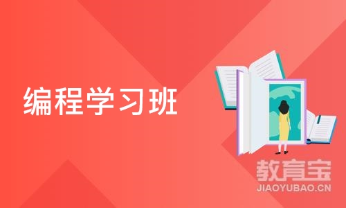 北京博为峰·编程学习班