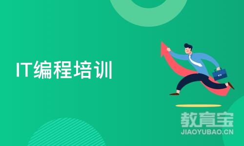 武汉博为峰·IT编程培训班