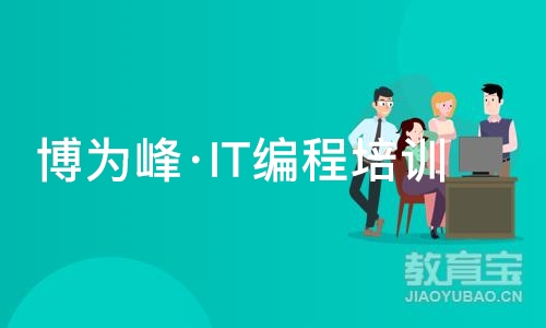 重庆博为峰·IT编程培训