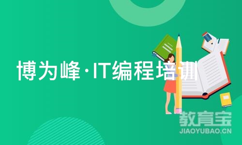 重庆博为峰·IT编程培训班