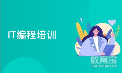 天津IT编程培训