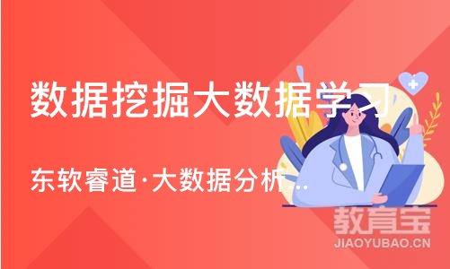 青岛东软睿道·大数据分析师培训