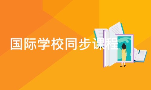 深圳国际学校同步课程-英才计划