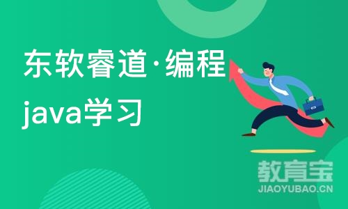 沈阳东软睿道·编程java学习