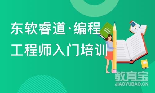 沈阳东软睿道·编程工程师入门培训