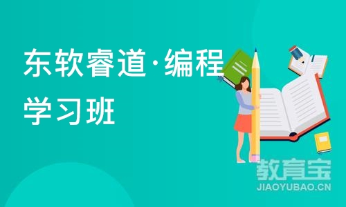 沈阳东软睿道·编程学习班