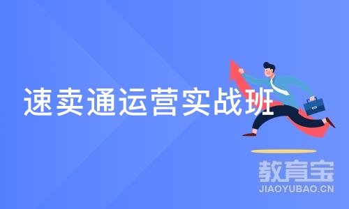 广州速卖通运营实战班