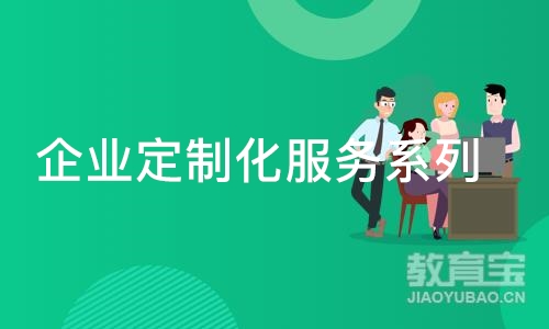 企业定制化服务系列