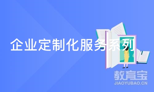 企业定制化服务系列