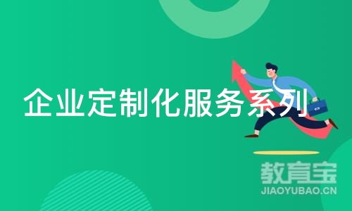 企业定制化服务系列