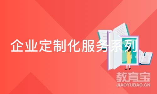 厦门企业定制化服务系列