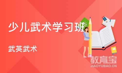 成都少儿武术学习班