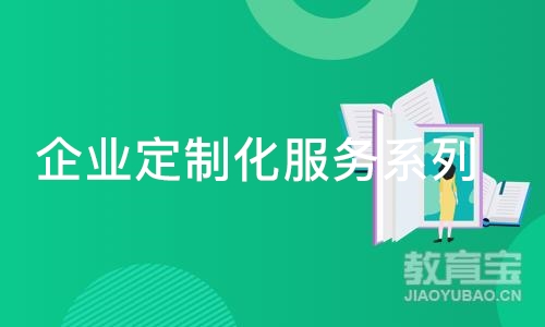 企业定制化服务系列