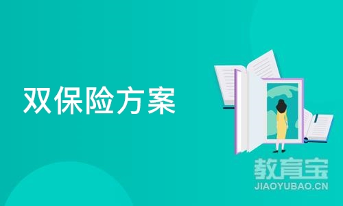 双保险方案