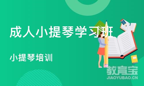 成都成人小提琴学习班