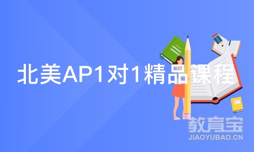 北京北美AP1对1精品课程