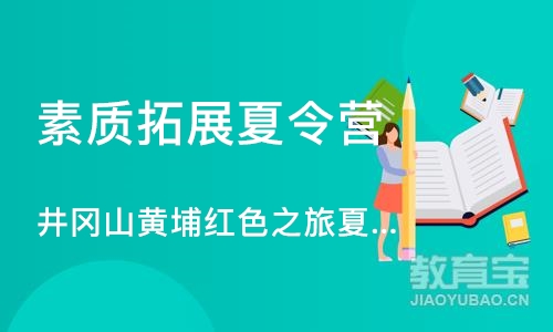 广州素质拓展夏令营