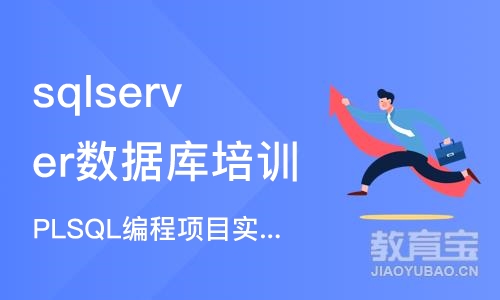 北京PLSQL编程项目实战