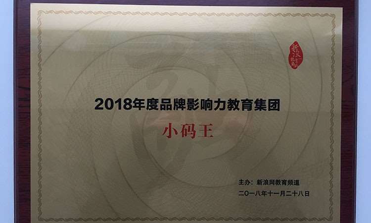 新浪教育盛典—2018年度品牌影响力教育集团