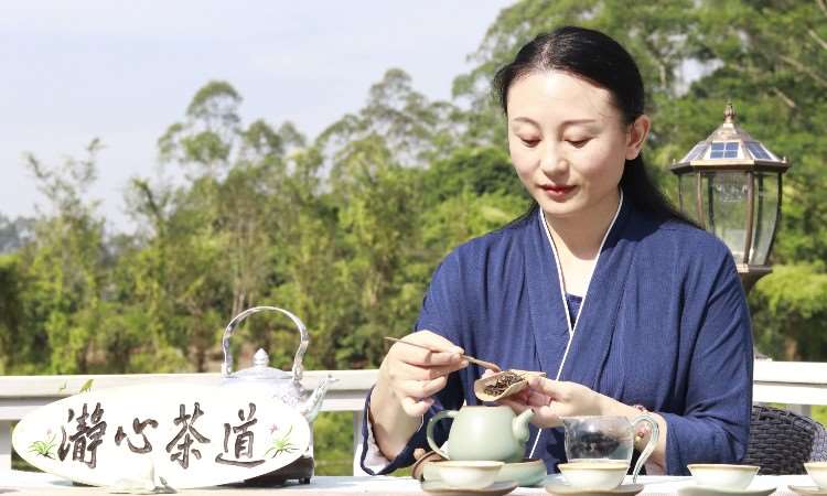 佳瀞老师主教学【品质班】课程