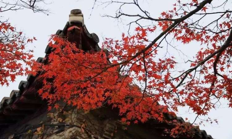 校区风景