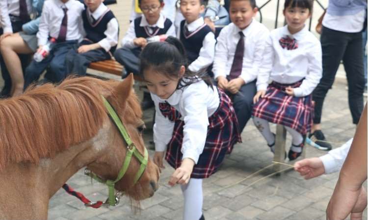 学员风采