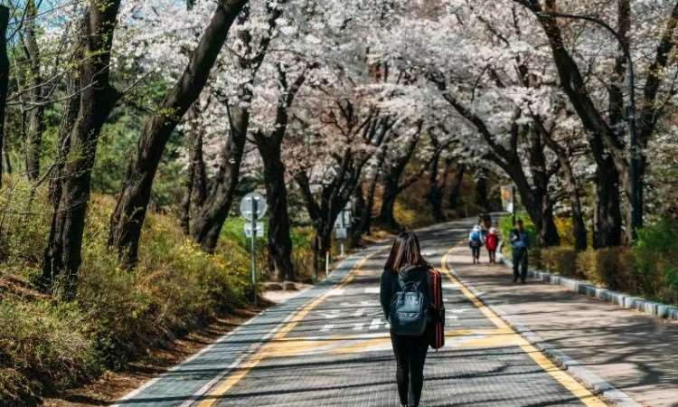 韩国留学